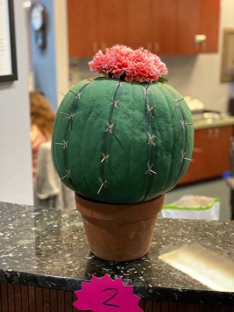 cactus pumpkin