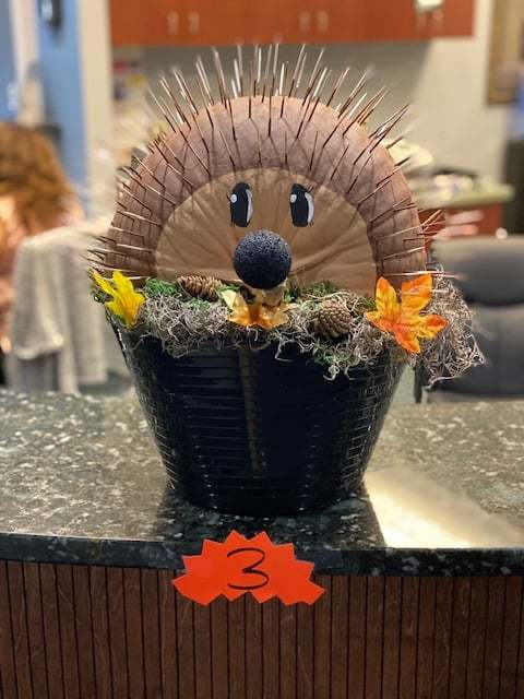 porqupine pumpkin